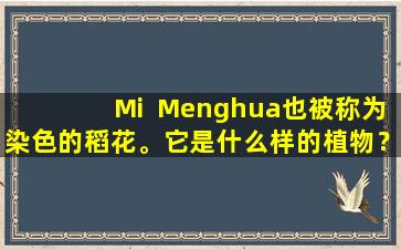 Mi  Menghua也被称为染色的稻花。它是什么样的植物？